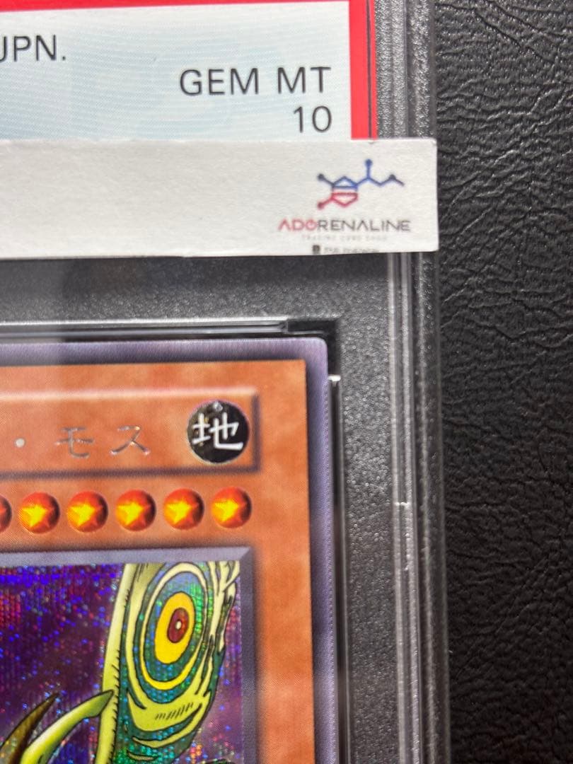 【PSA10】グレートモス 初期シークレット