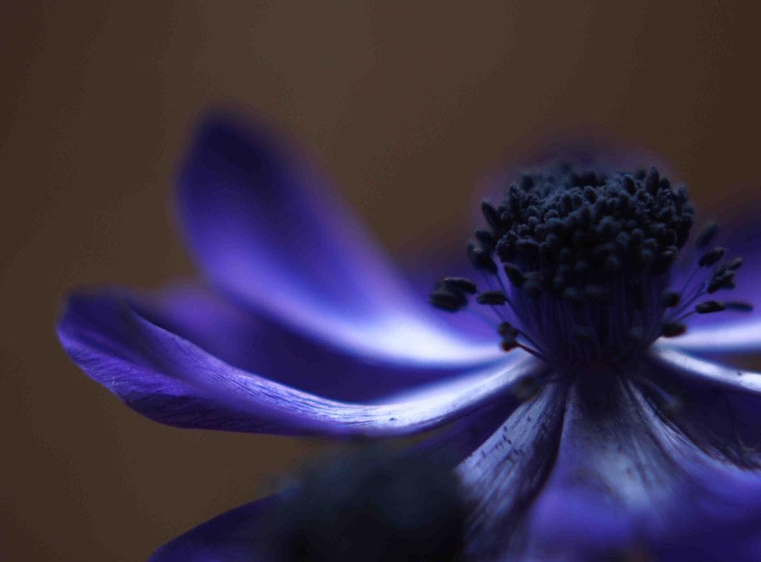 ヘリオス　44-2　M42マウント