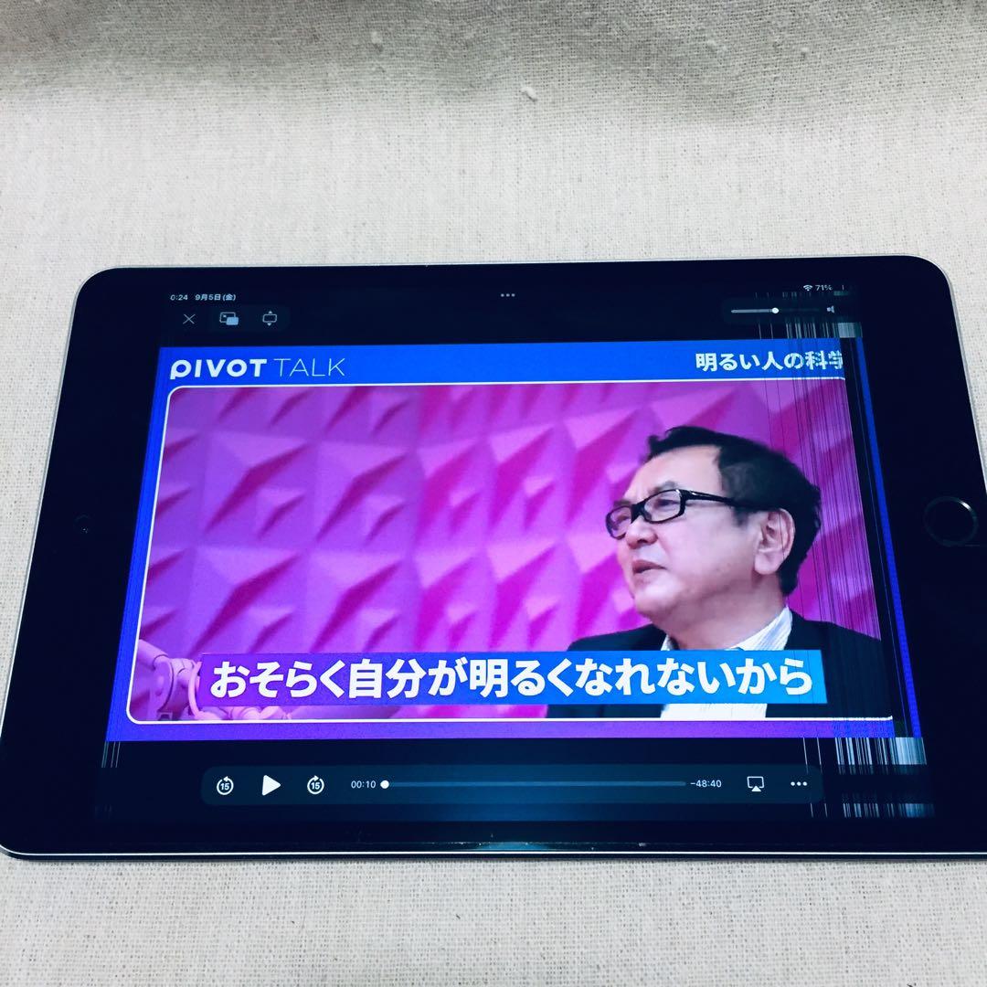 箱付き AC付属 美品 iPad mini4 128GB A1538 Wi-Fi