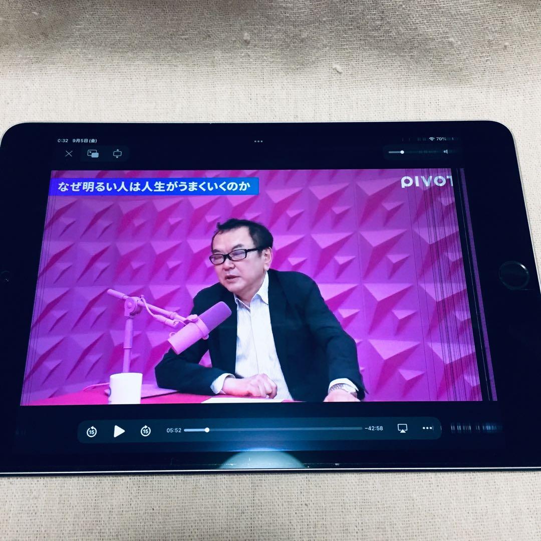 箱付き AC付属 美品 iPad mini4 128GB A1538 Wi-Fi