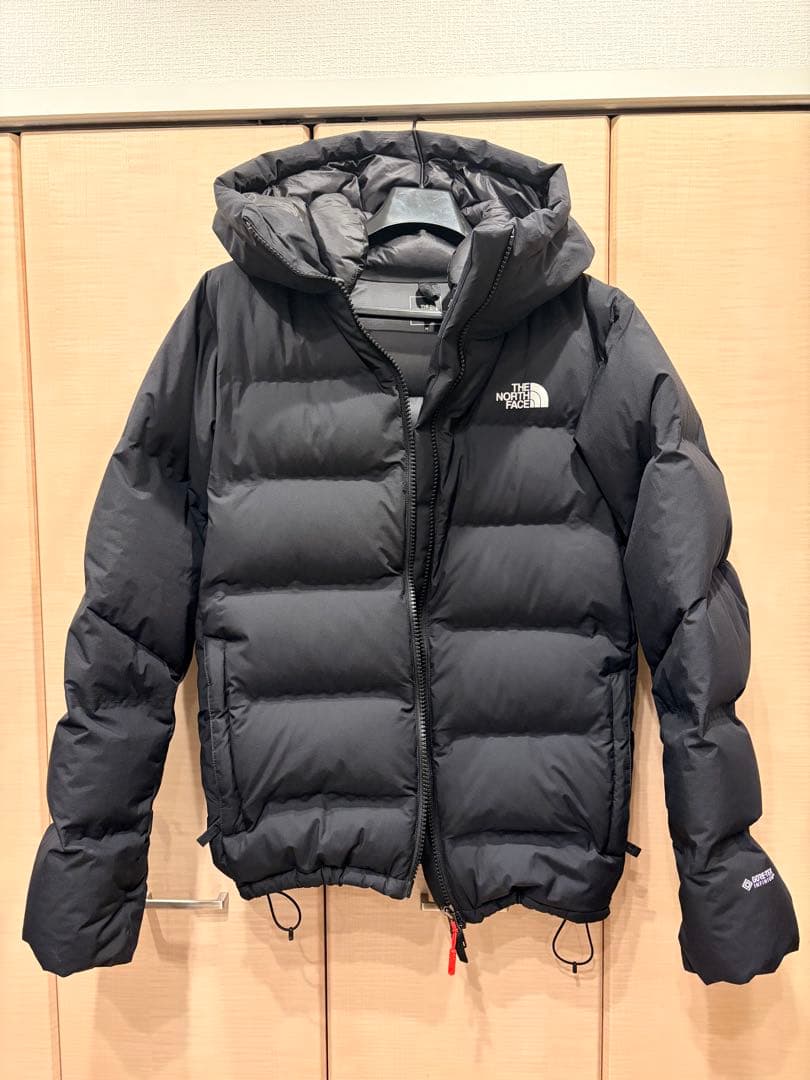 THE NORTH FACE GORE-TEX ビレイヤーダウンジャケット M