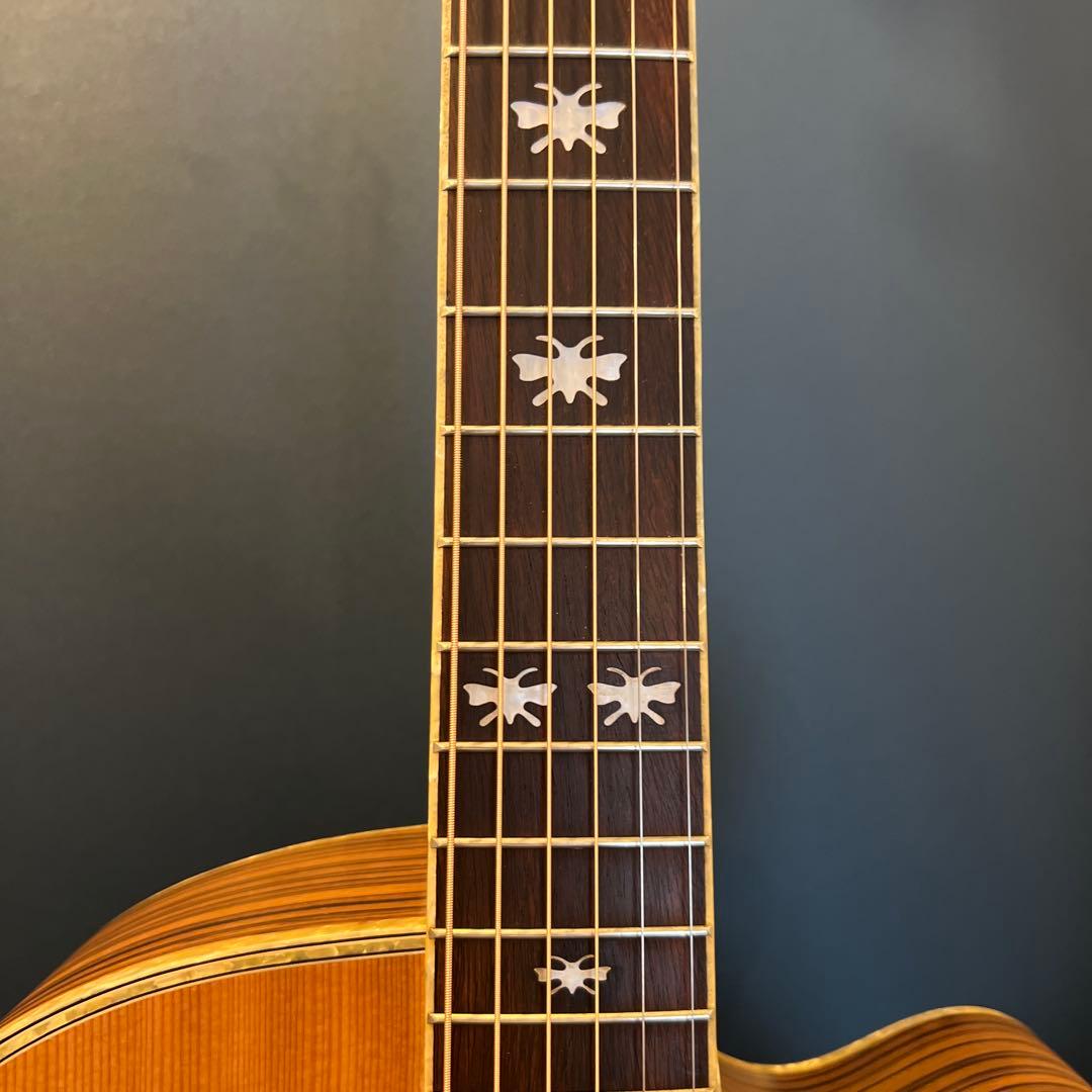 【5/31終了】【良杢目】日本未流通 MONICAアコースティックギター