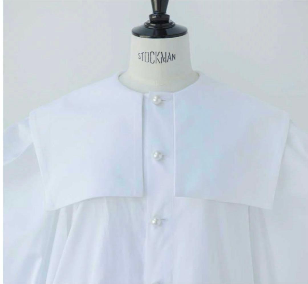 セツコサジテール　setsuko sagittaire マルグリットホワイト