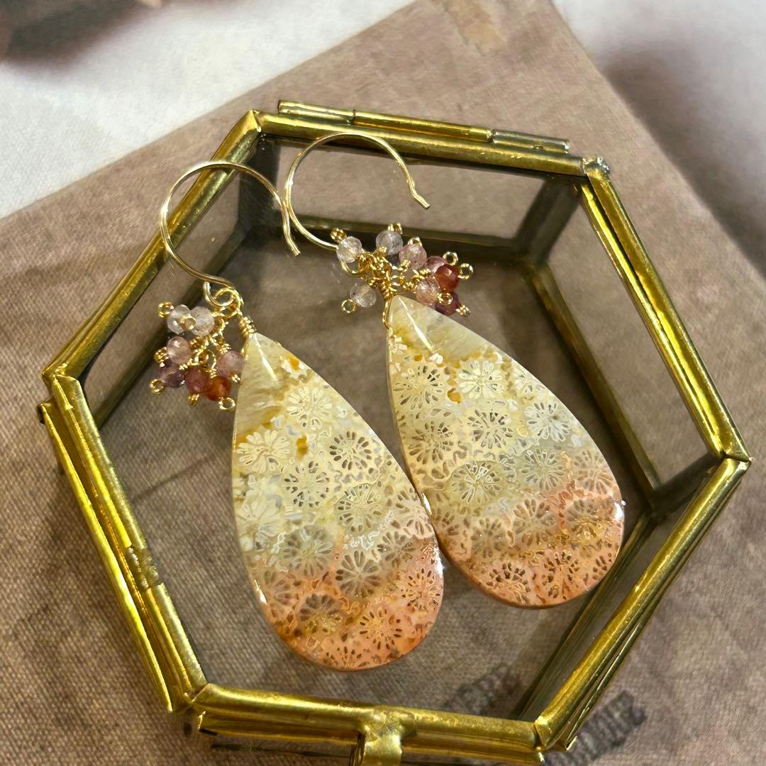 専用✳︎フォッシルコーラル　他　14kgf　天然石ピアス/イヤリング　スピネル