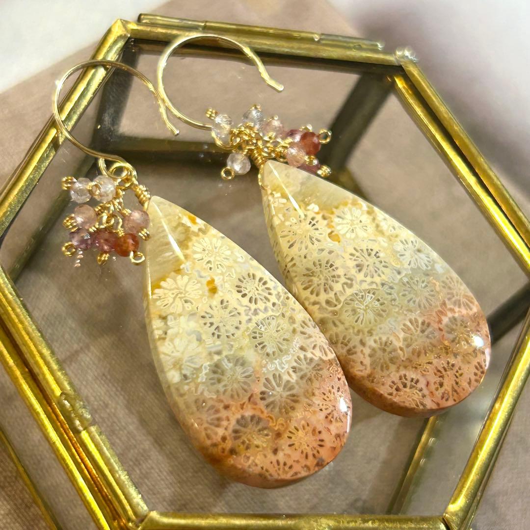 専用✳︎フォッシルコーラル　他　14kgf　天然石ピアス/イヤリング　スピネル