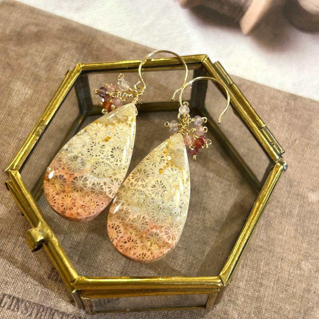 専用✳︎フォッシルコーラル　他　14kgf　天然石ピアス/イヤリング　スピネル