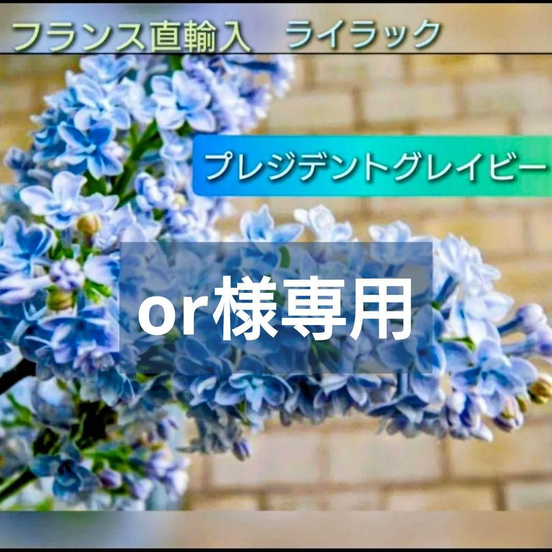 or　ライラック プレゼントグレイビー【八重咲き空色花】♪