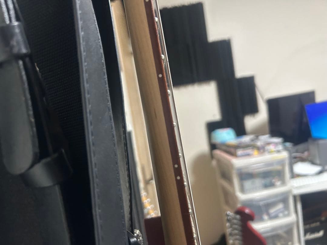 m*a様 Ibanez RG421PB EMG89