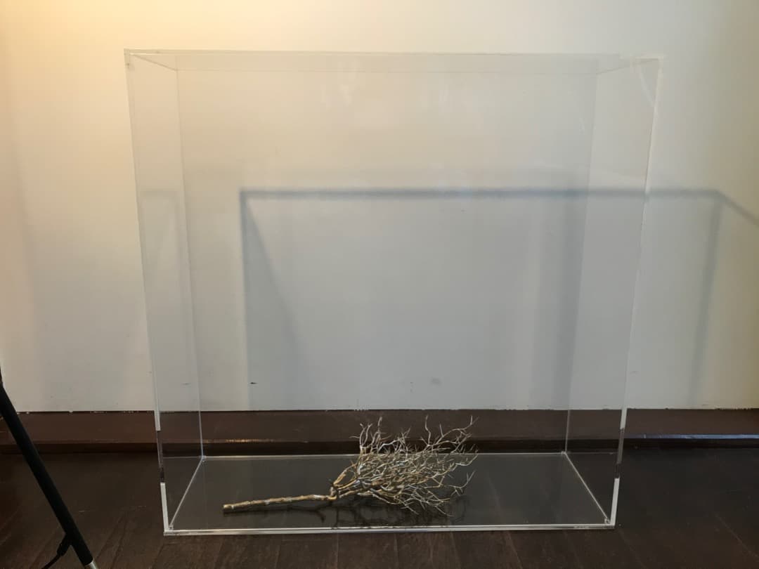 【新品未使用】大型アクリルケース 「幅60cm×奥行20cm×高さ60cm」