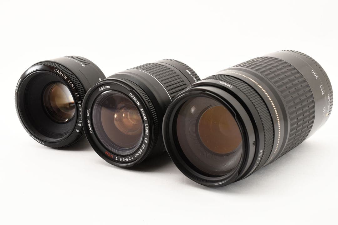 保証付/Canon EOS 80D標準&望遠&単焦点トリプルレンズセット