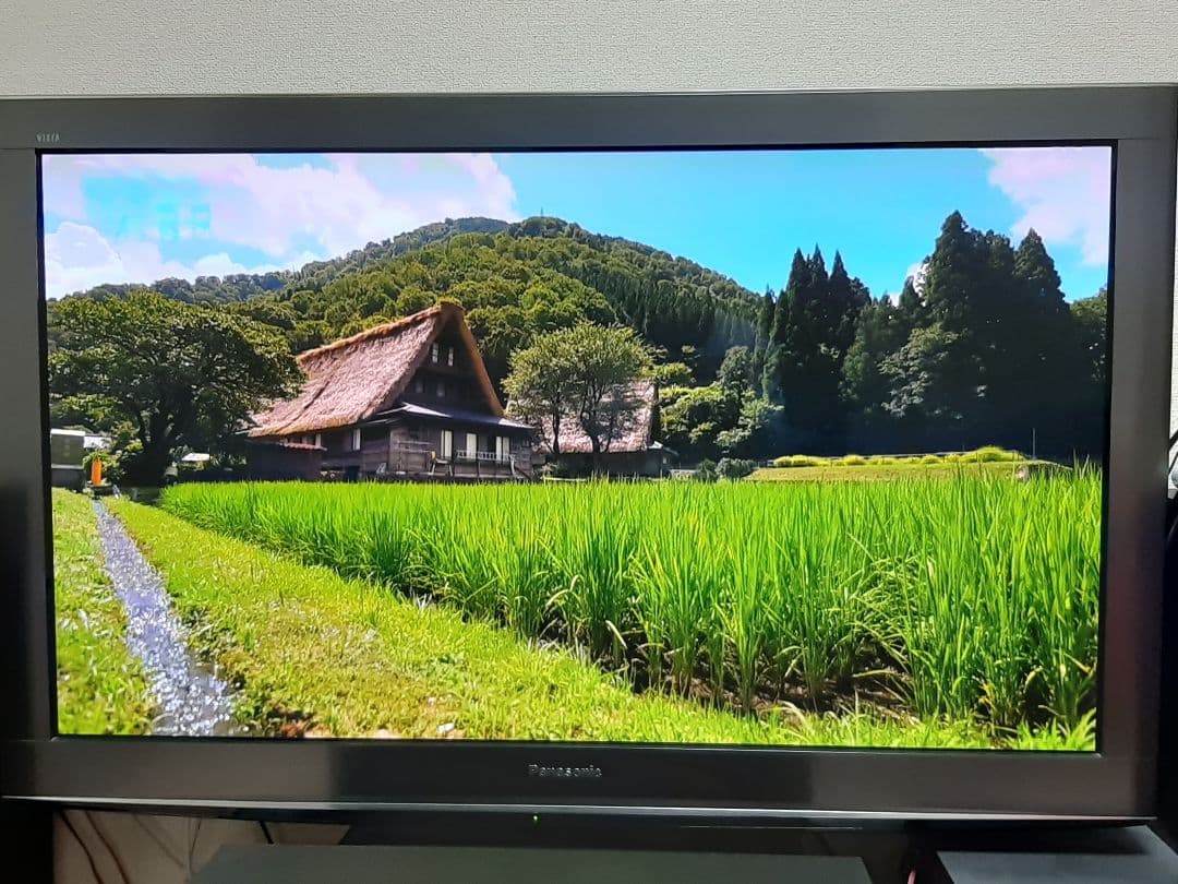 Panasonic プラズマテレビ TH-P46V2(一部焼付きあり)