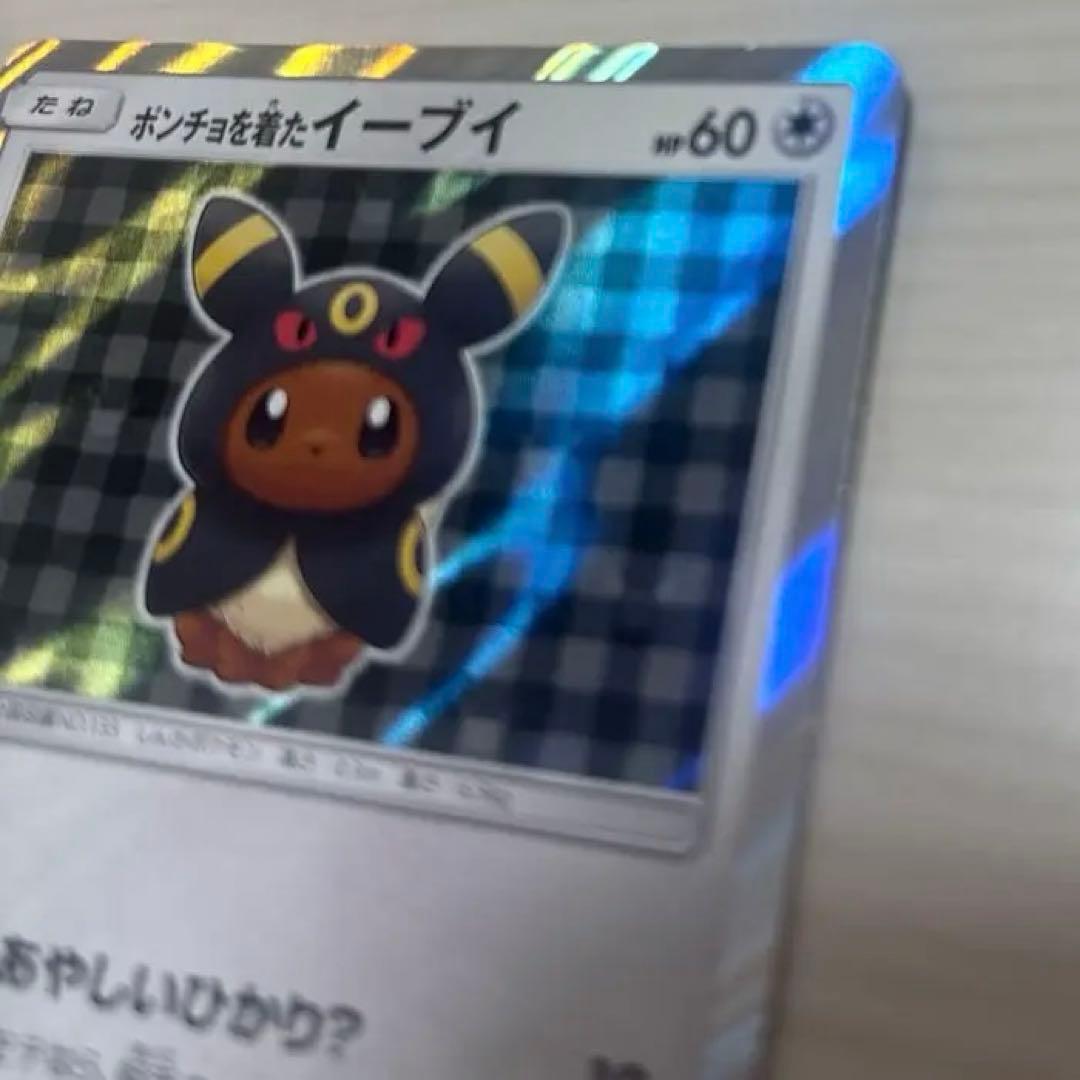 ポンチョを着たイーブイ　ブラッキー