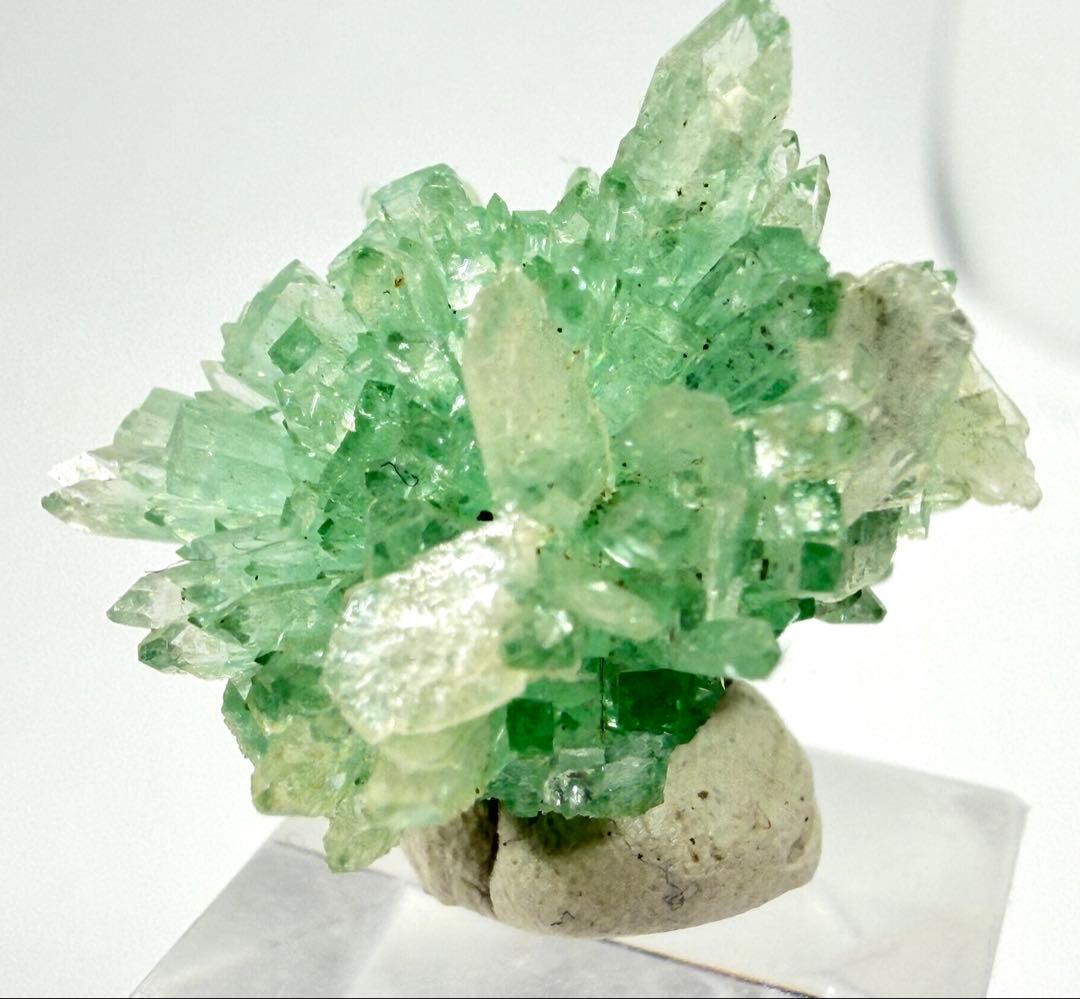 インド産　グリーンアポフィライト　鉱物標本