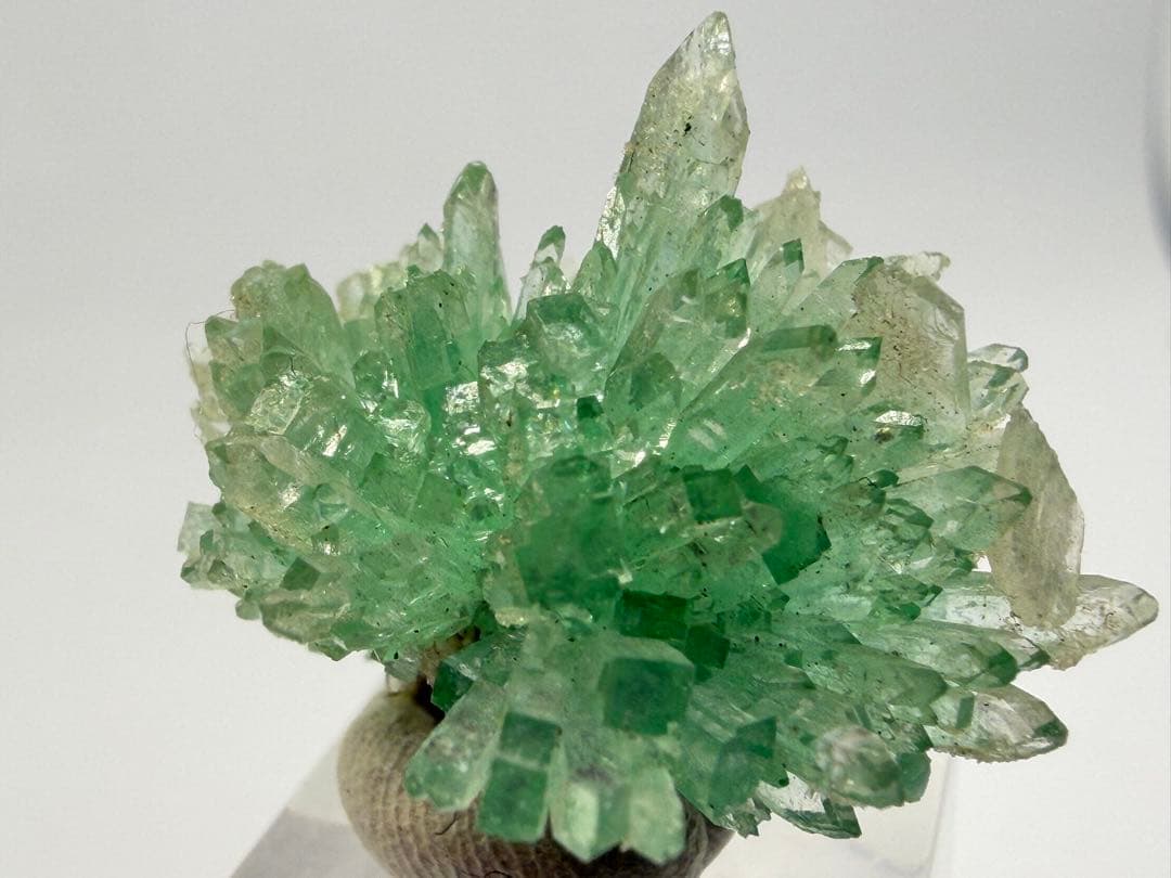 インド産　グリーンアポフィライト　鉱物標本