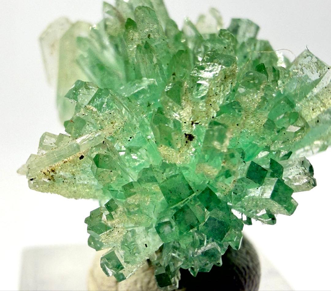 インド産　グリーンアポフィライト　鉱物標本