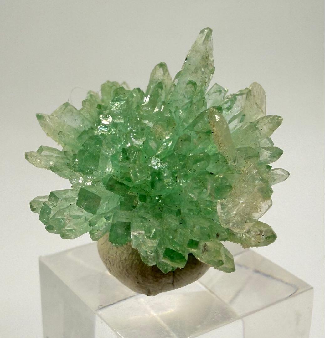 インド産　グリーンアポフィライト　鉱物標本