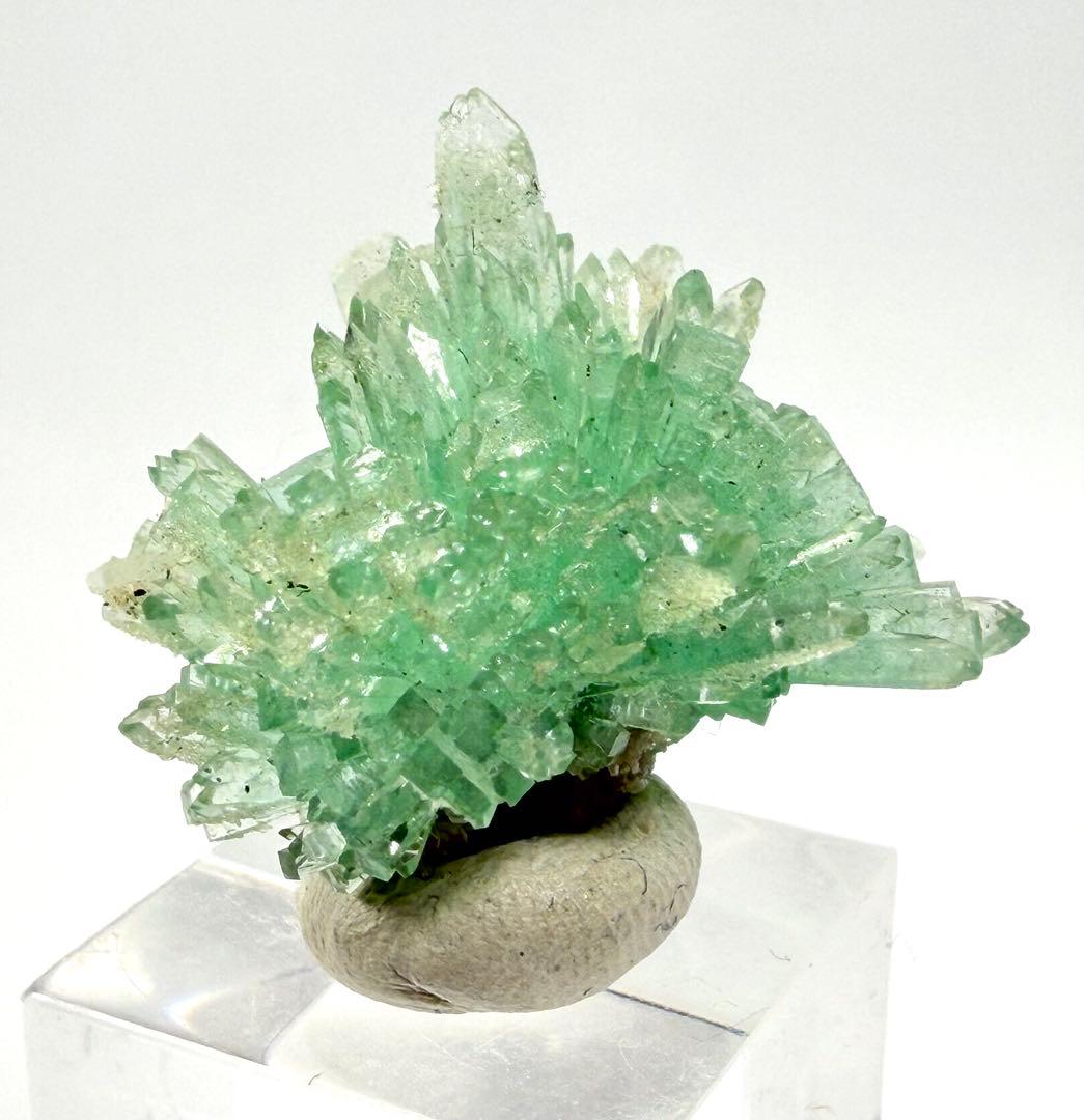 インド産　グリーンアポフィライト　鉱物標本