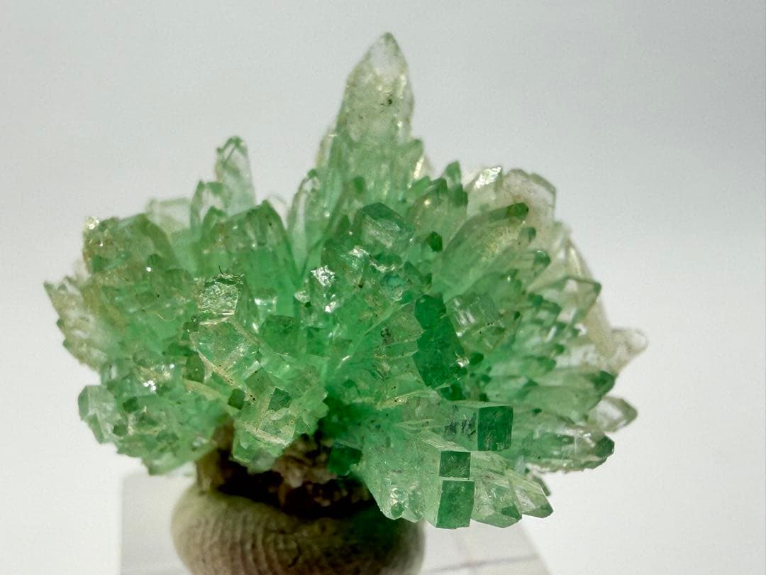 インド産　グリーンアポフィライト　鉱物標本