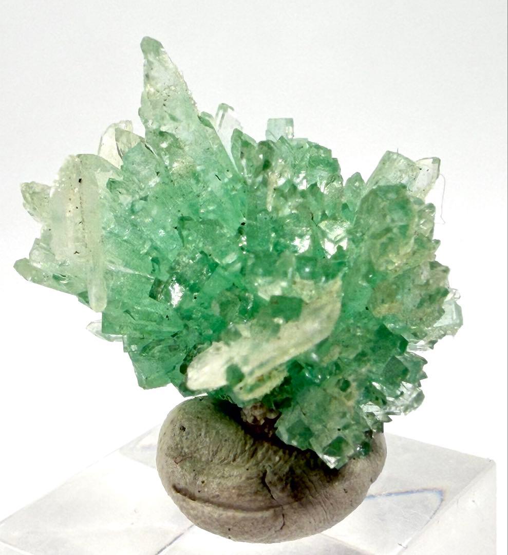 インド産　グリーンアポフィライト　鉱物標本