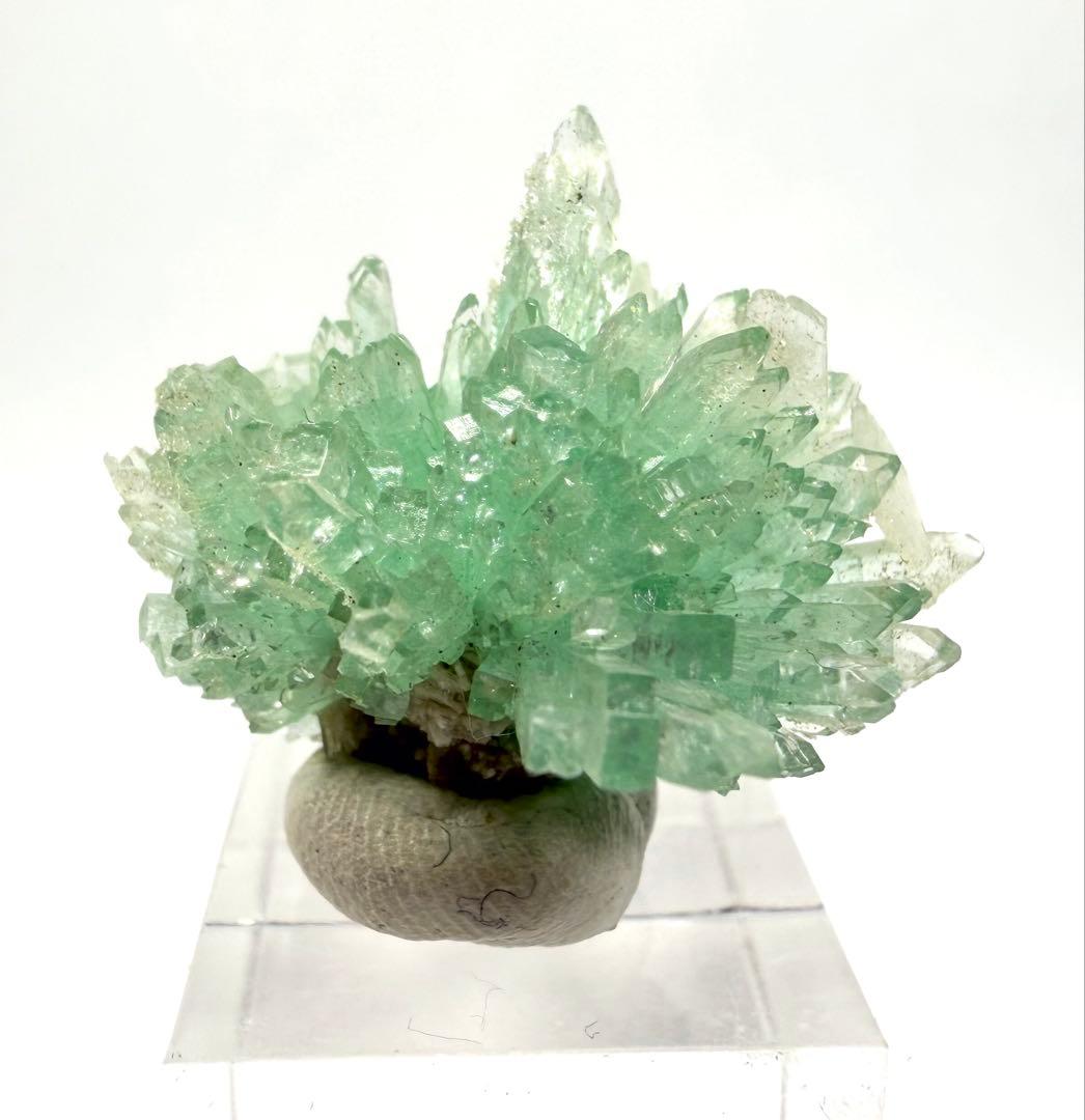 インド産　グリーンアポフィライト　鉱物標本