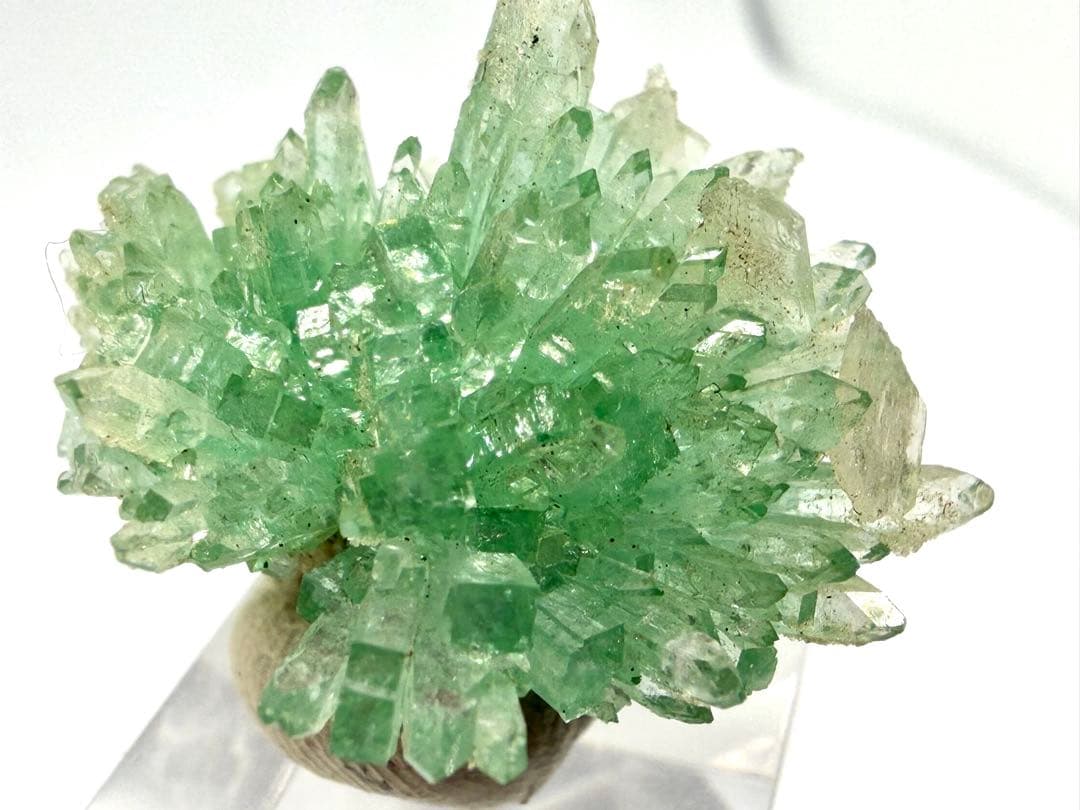 インド産　グリーンアポフィライト　鉱物標本