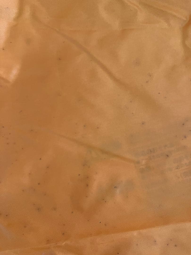 【廃盤品】テンマクデザイン ペポライト