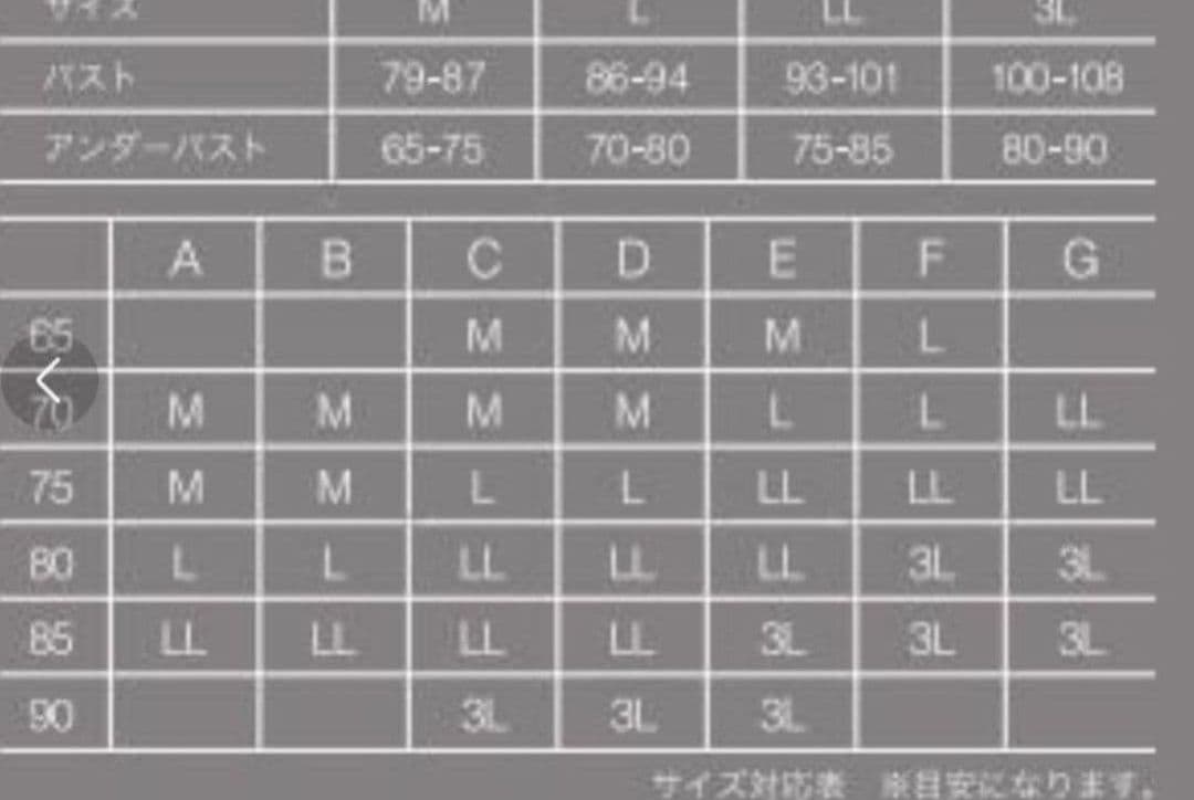 新品正規品　リッチメイクブラ　プウアボーテ　Мサイズ　光電子　ナイトブラ