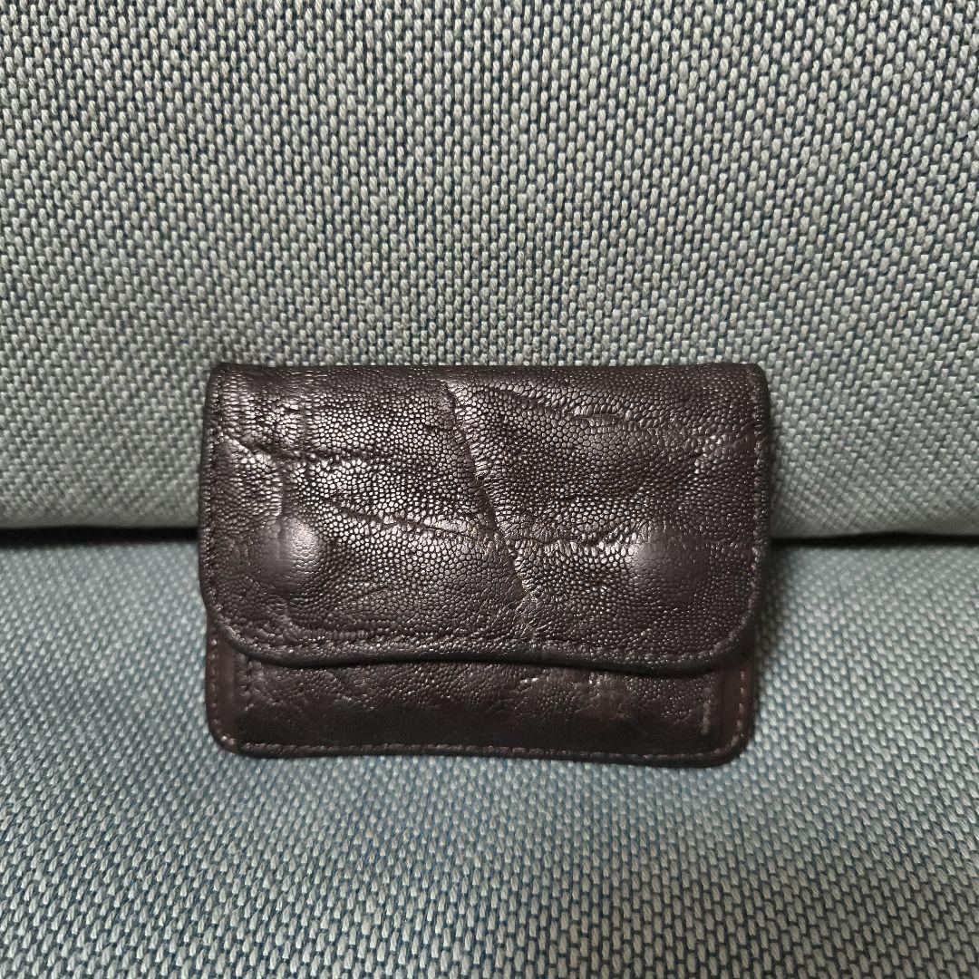 最終値下げ！ワイルドスワンズ タング エレファント 象革