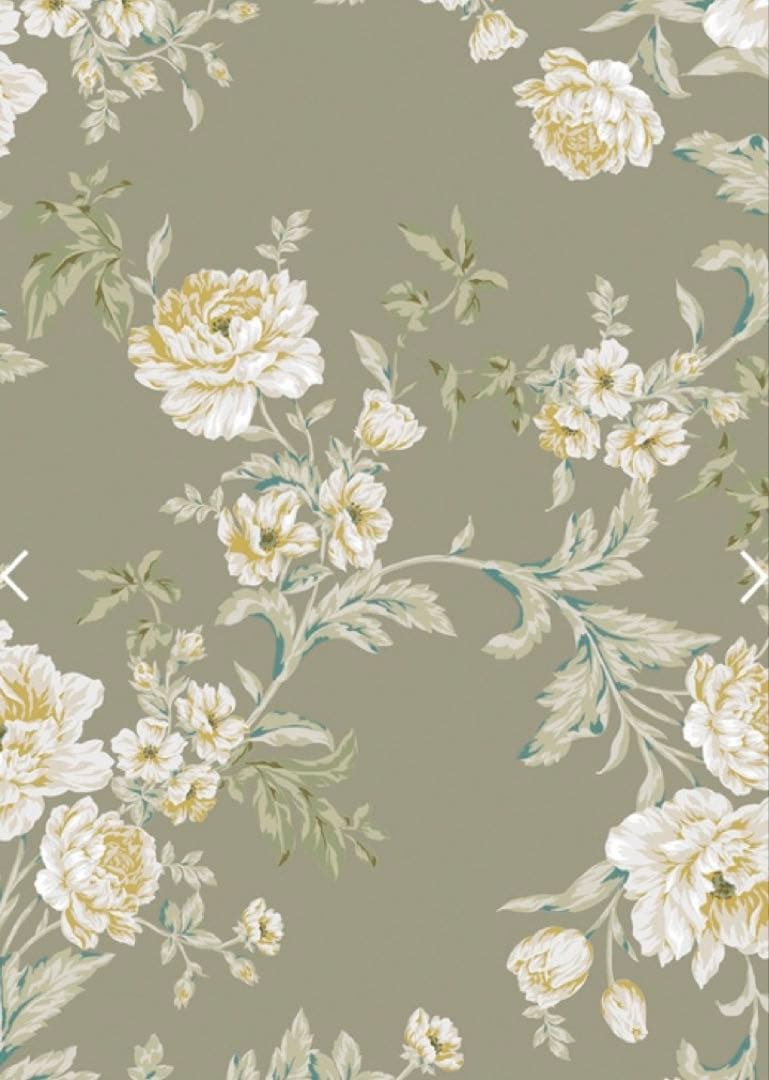 バレエ stina type V Grace rose sage S