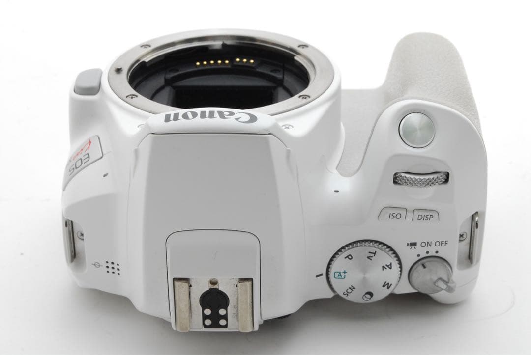 チノ　トリプルレンズの大満足❣️Canon EOS kiss X10