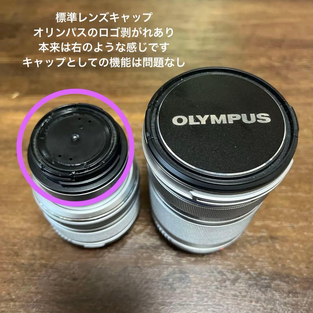 #3123 OLYMPUS PEN Lite E-PL5 ダブルズームキット