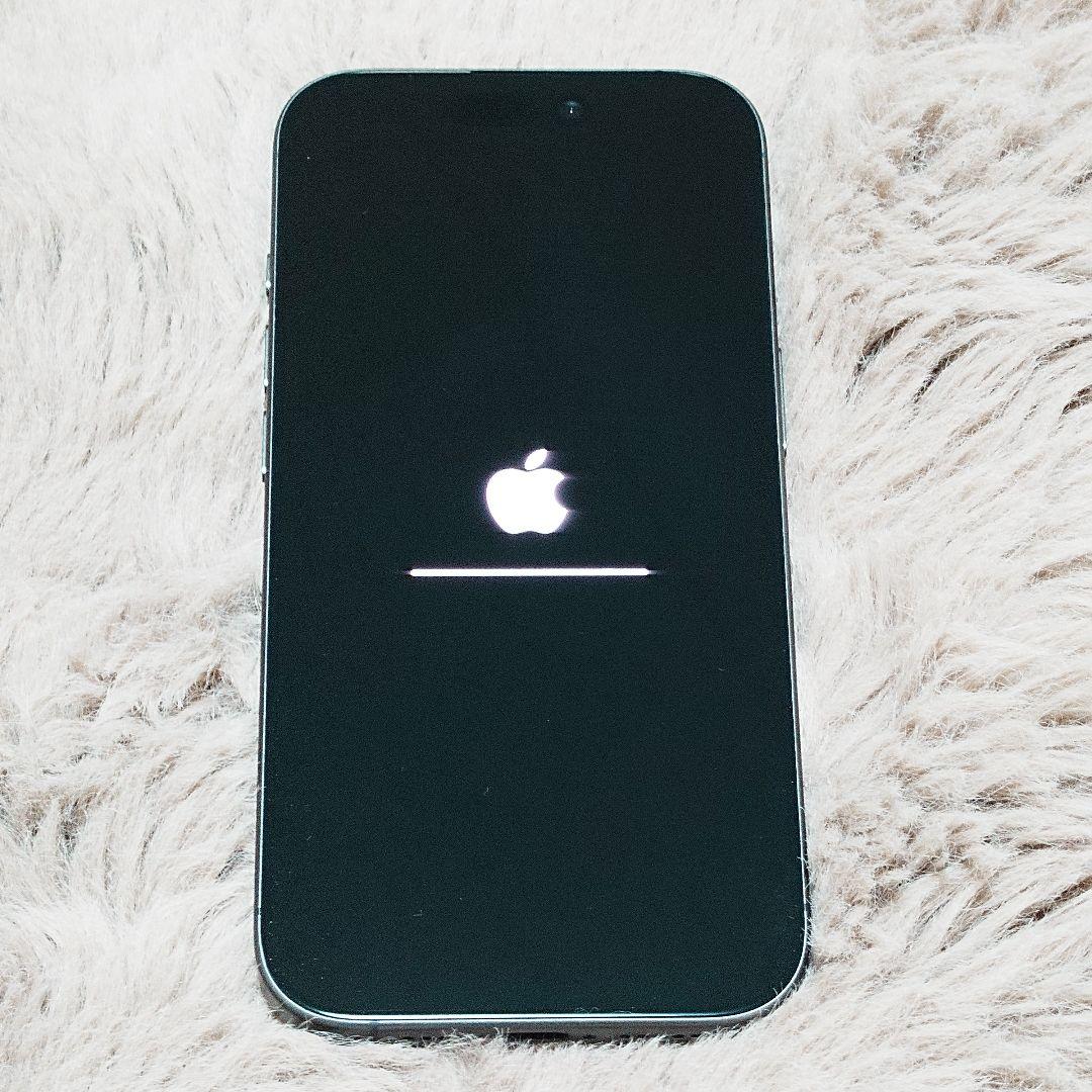 【極美品】Apple iPhone17 ブラック 256GB