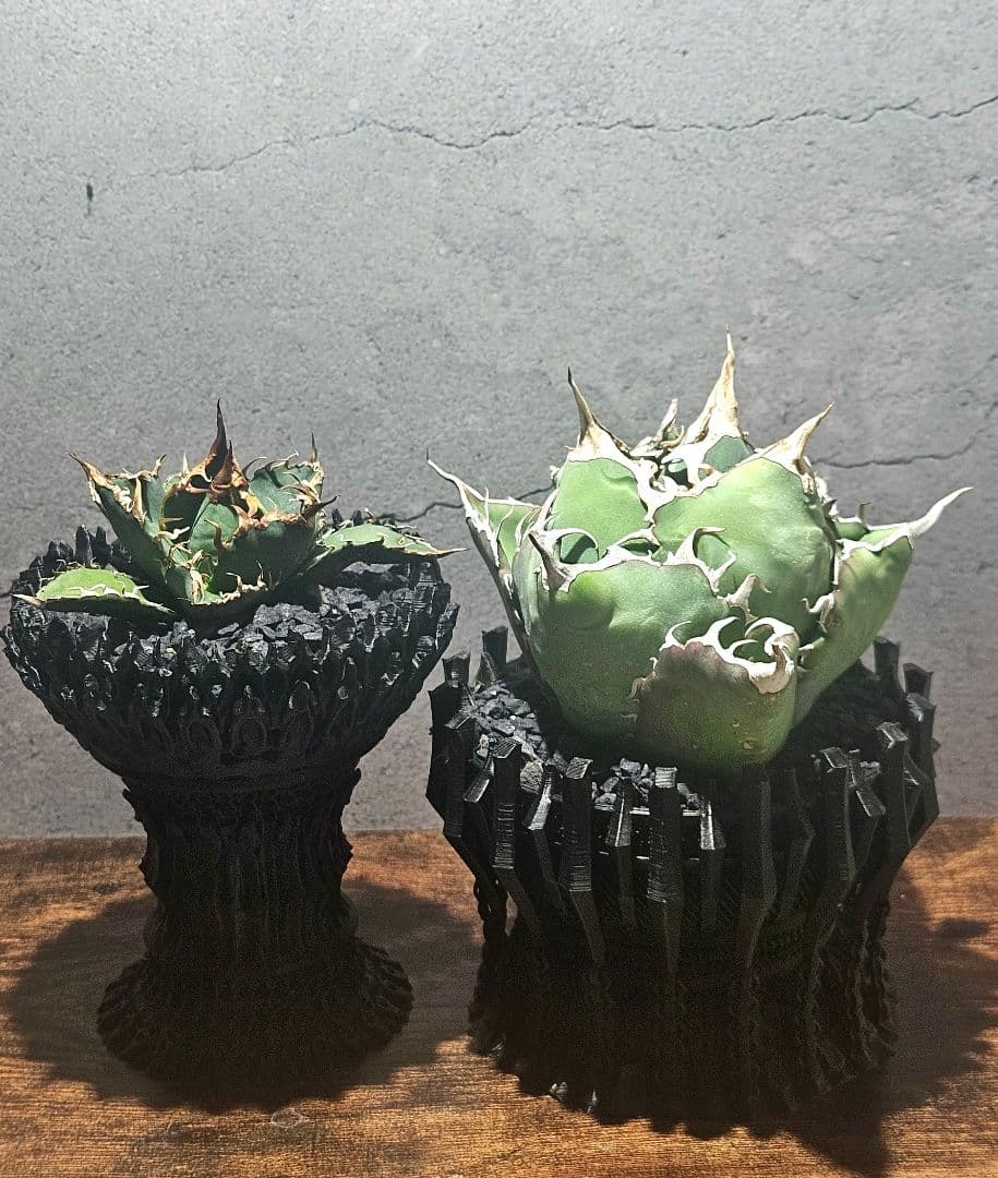 なりりん！ページ