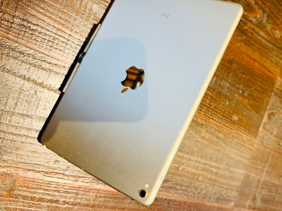 iPad pro 9.7 256gb wi-fi 良品