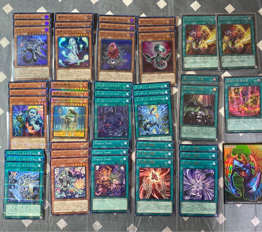 遊戯王　ワイト　デッキ