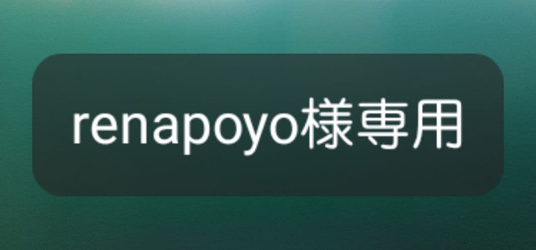 その他 renapoyo