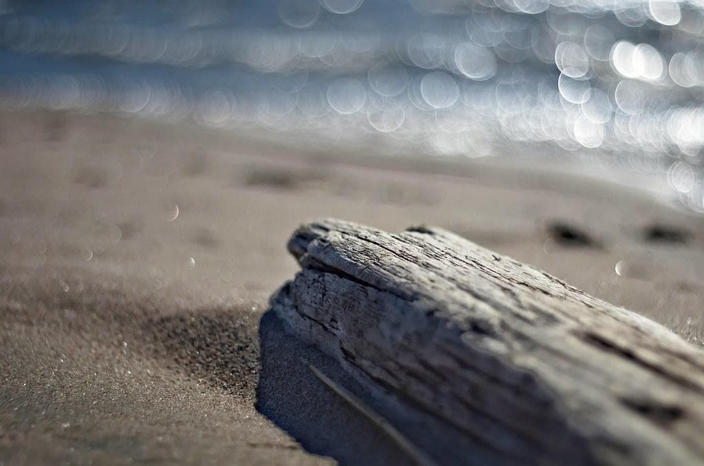 44 ペンタコン PENTACON 50mm F1.8　M42　アダプター付