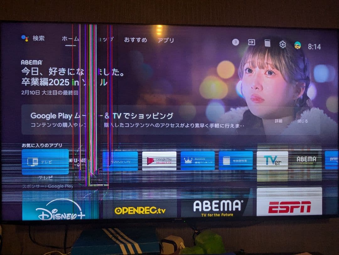 65型テレビ
