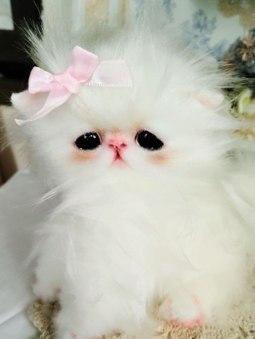 可愛いキャンディちゃん❤エキゾチック子猫ちゃん♡アートドール♡ぬいぐるみ♡