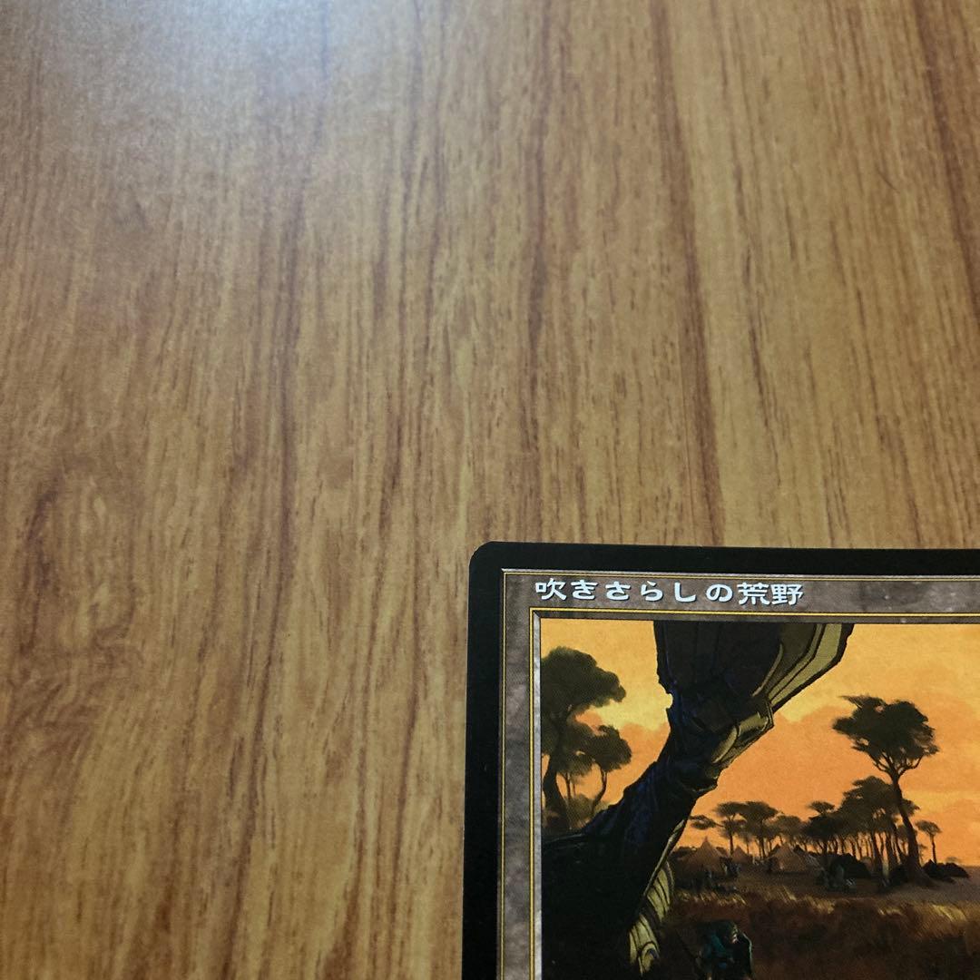 吹きさらしの荒野(日1枚)