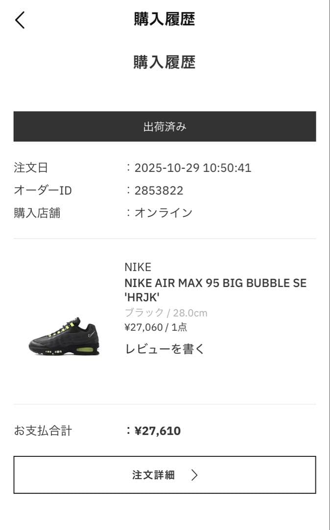靴 Nike AirMax 95 Big Bubble SE HRJK 28.0cm