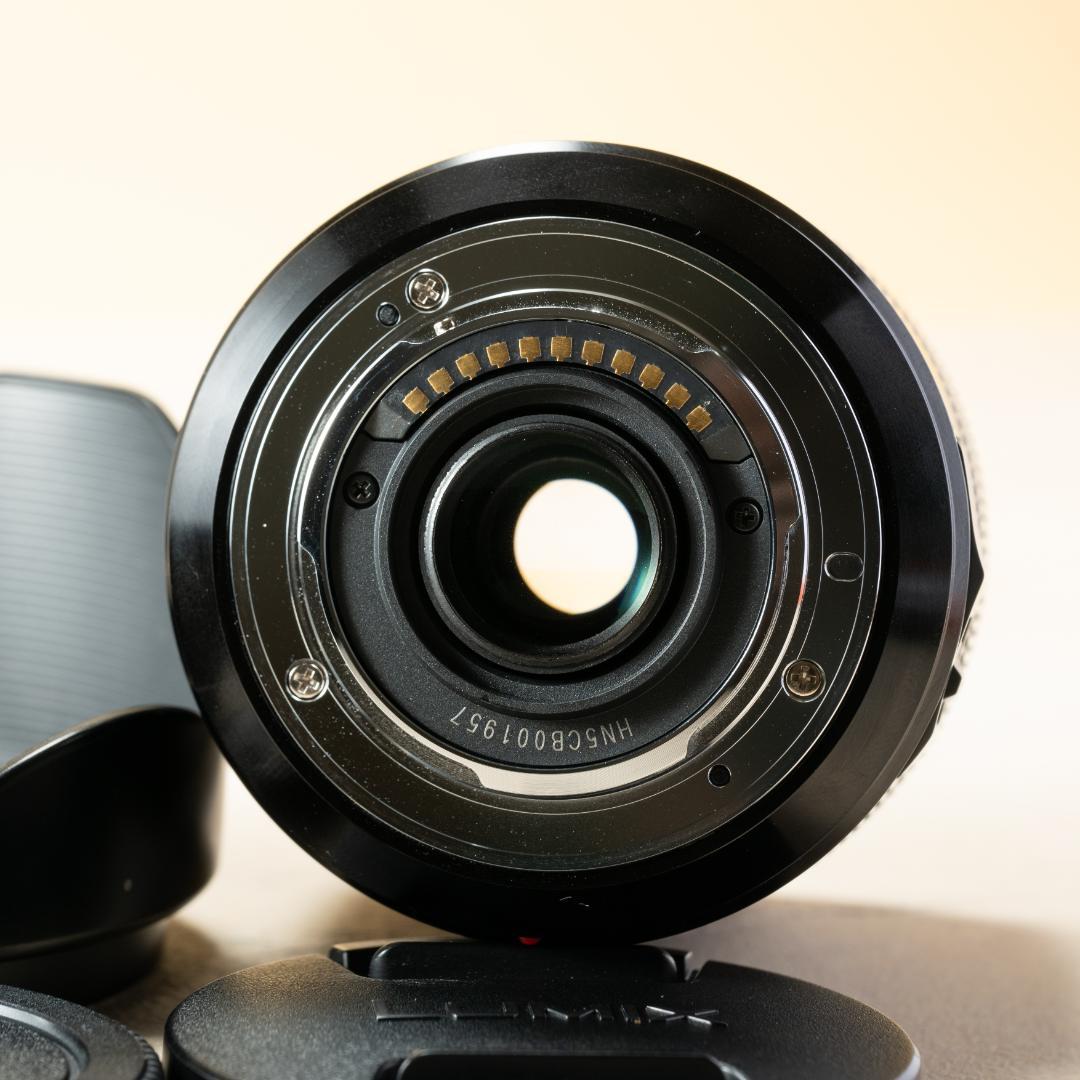 レンズ(ズーム) Panasonic LUMIX G VARIO 14-140mm POWER