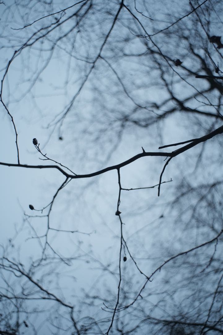 レンズ(単焦点) M42 Enna Macro-Ennalyt 35mm f2.8