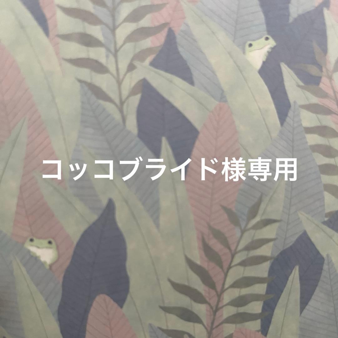 【専用】光の粒みたいなフェナカイトのリング　ソ付きケース付きシルバー　お守り指輪