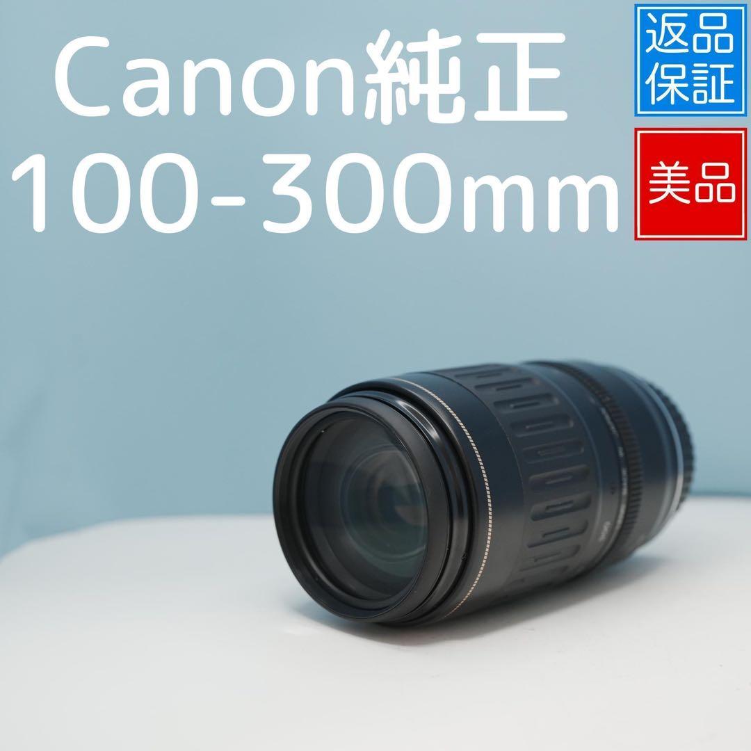 Canon純正 100-300mm 標準レンズ 美品 a4194