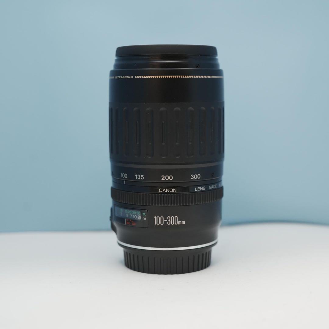Canon純正 100-300mm 標準レンズ 美品 a4194