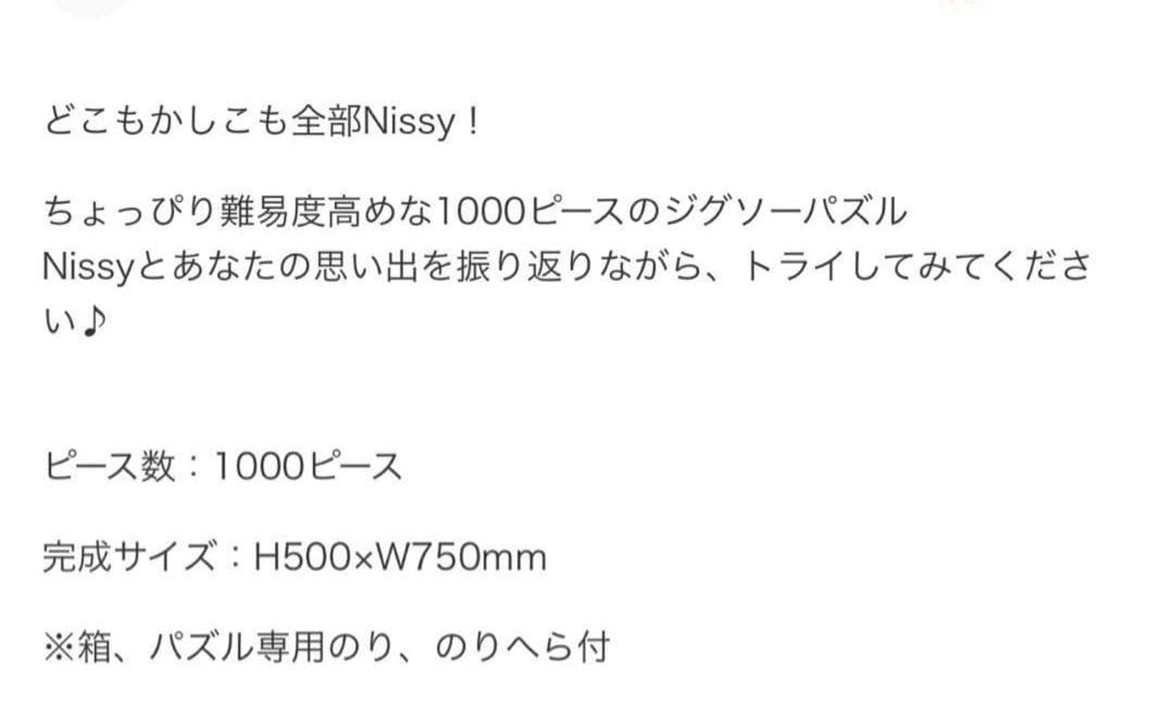 【新品未開封】Nissy 10th ジグソーパズル　1000ピース