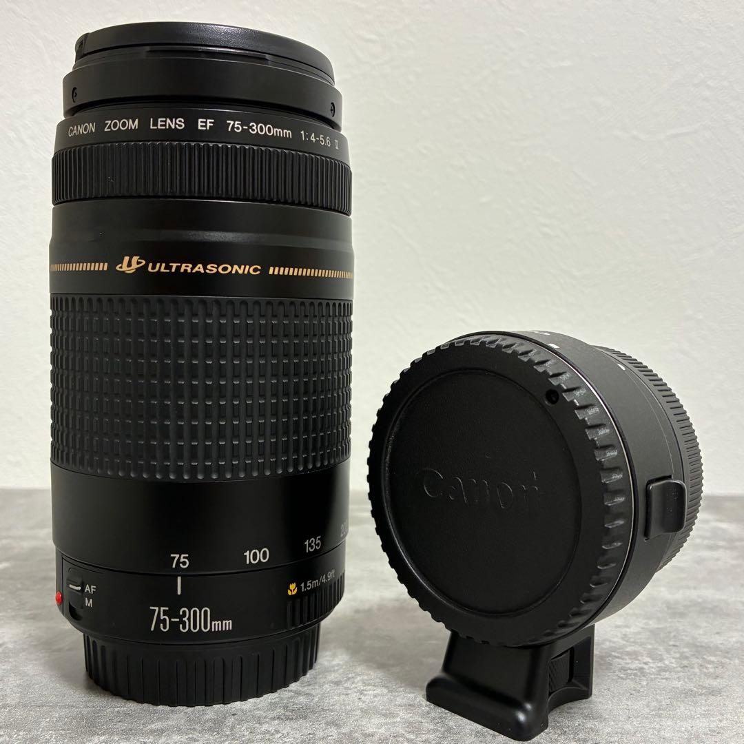 ⭐️美品⭐️Canon EF 75-300 II & EF-EOS M アダプター