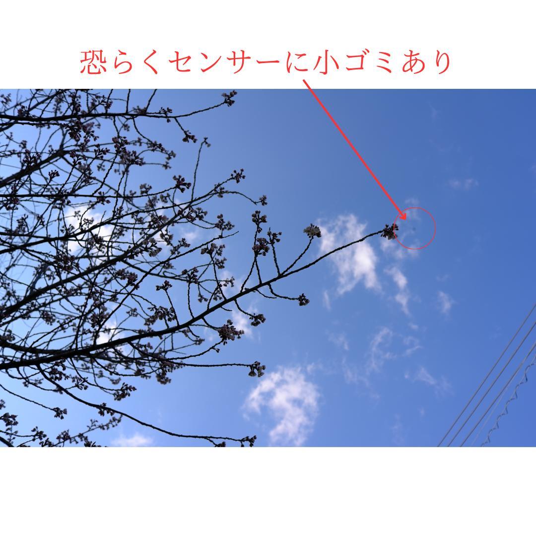 LEICA X1 シルバー