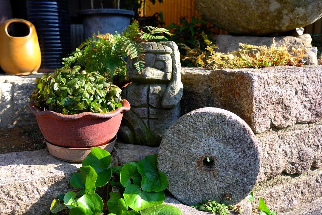 LEICA X1 シルバー